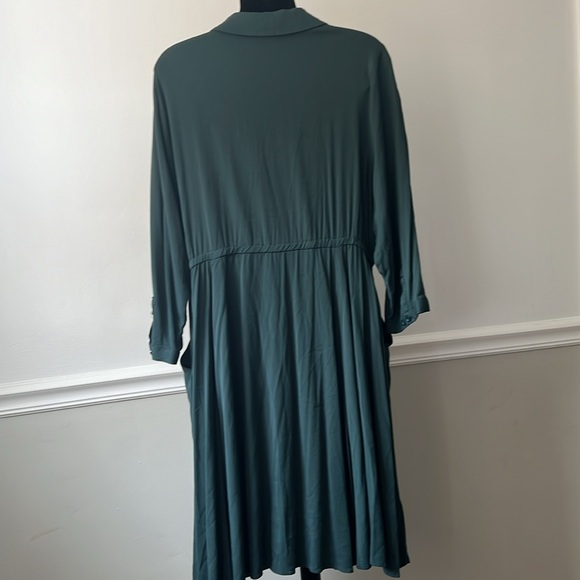Mini Challis Button-Front Shirt Dress - Picture 6 of 16